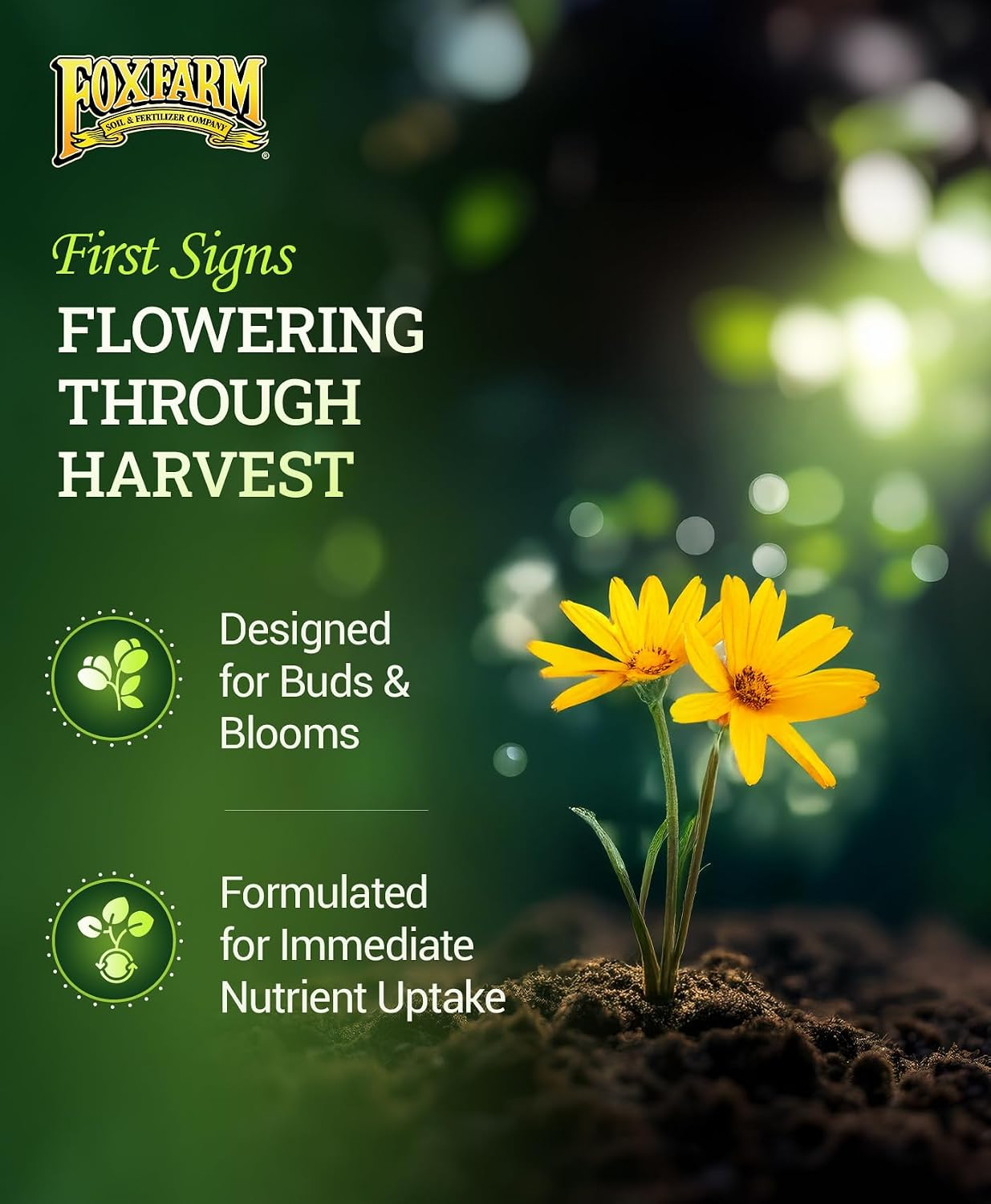 FoxFarm Tiger Bloom Liquid Plant Food - Phosphorus Fertilizer for Buds