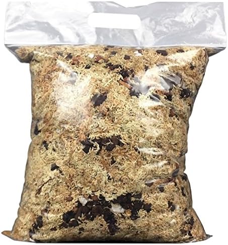 Orchid Potting Mix for Tropical Growers: Why Bark Chunk Size and Drainage Speed Determine Bloom Success