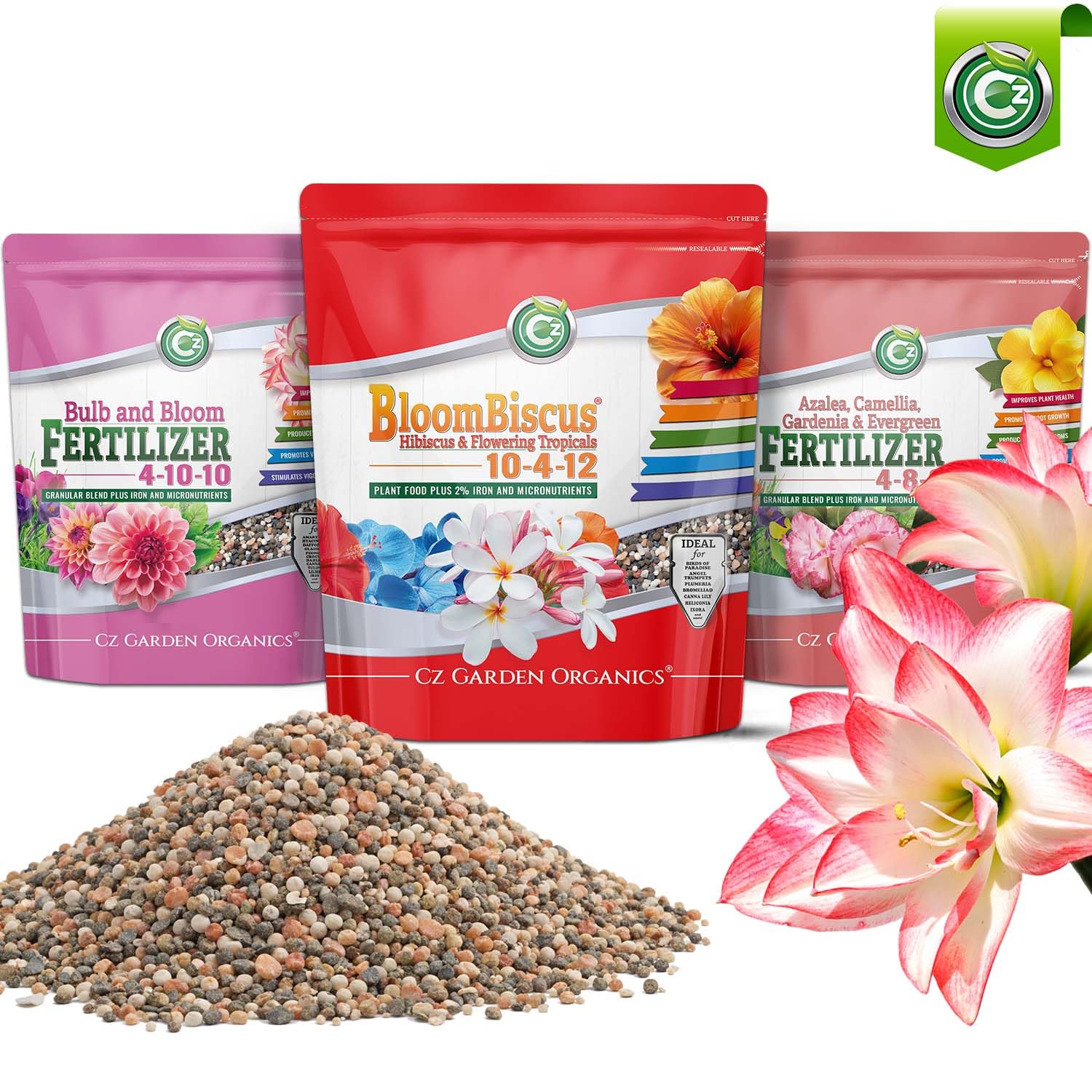 More Blooms on Tropical Hibiscus: The Fertilizer Timing and Iron Formula That Growers Swear By
