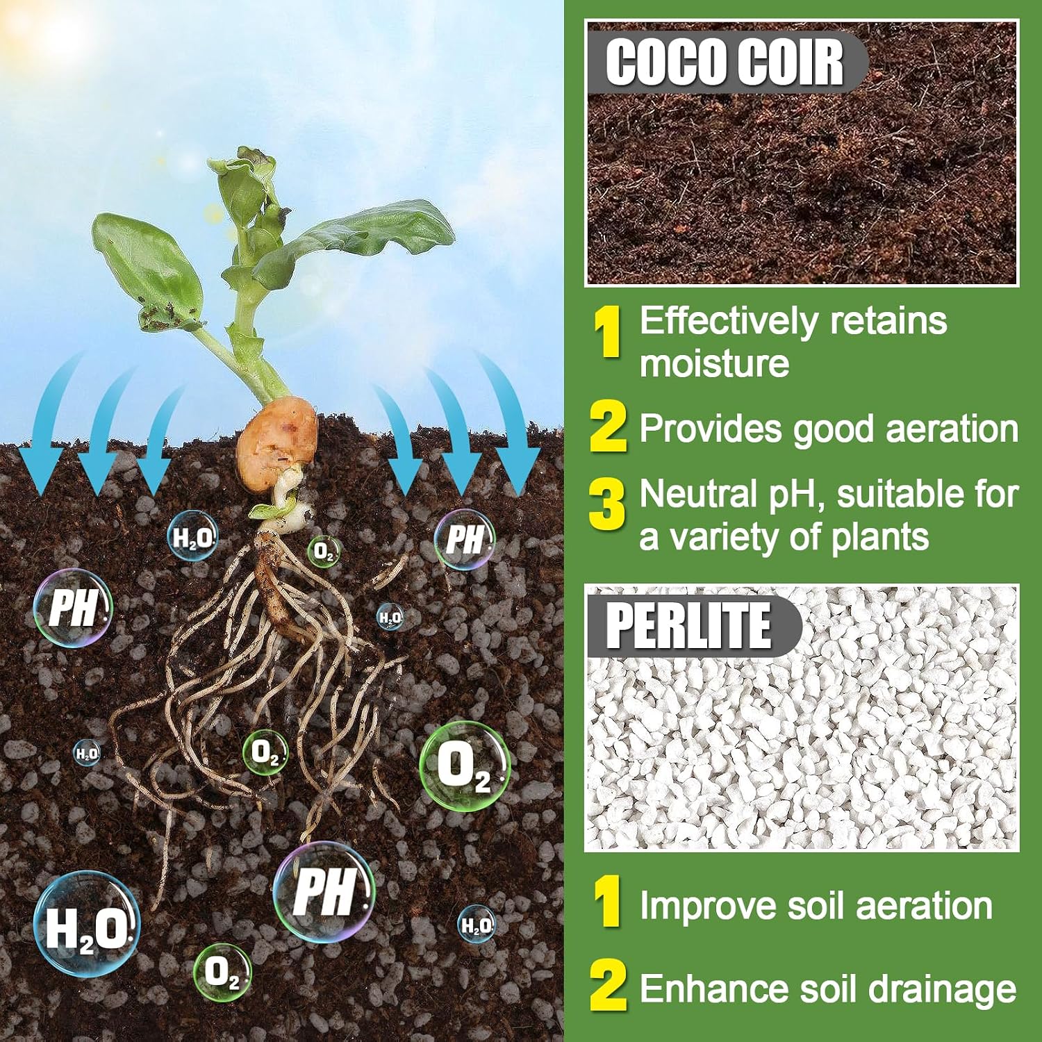 Coco product image